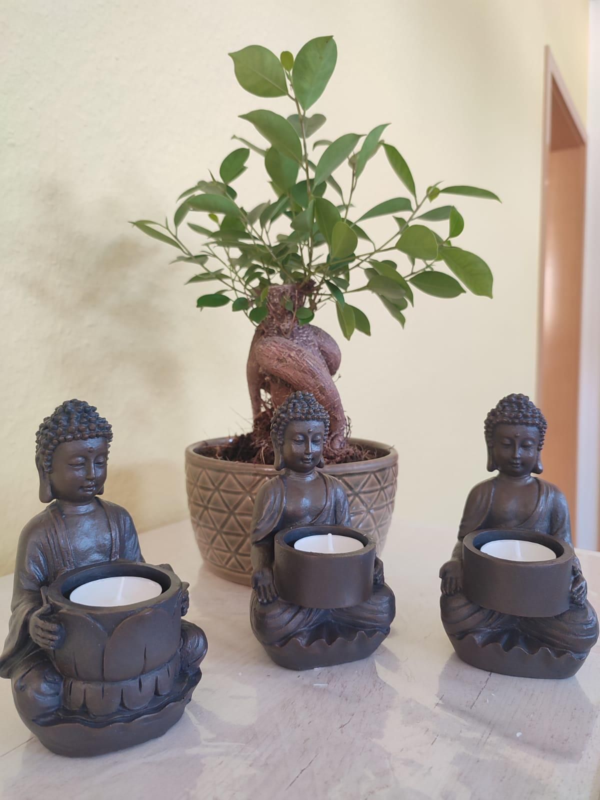 Buddha-Figuren mit Teelichtern im Studio von VedaVitalis in Suhl